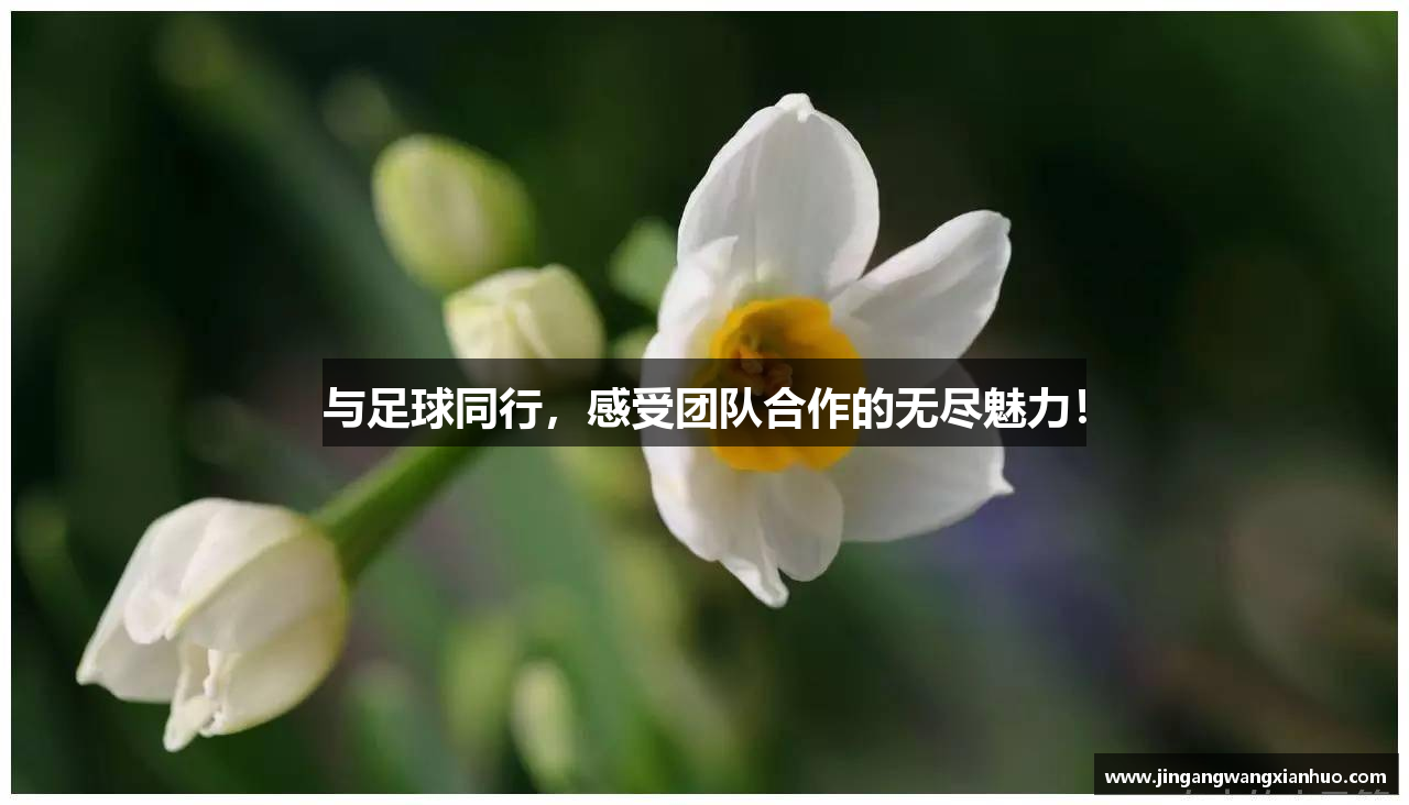 与足球同行，感受团队合作的无尽魅力！